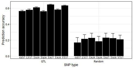 Single nucleotide polymorphism (SNP) sites remarkably associated with grain number per ear of wheat and application of SNP sites in genetic breeding of wheat