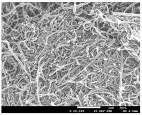 A modified carbon nanotube and its preparation method, lithium-ion battery positive electrode and its preparation method, and lithium-ion battery