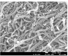 A modified carbon nanotube and its preparation method, lithium-ion battery positive electrode and its preparation method, and lithium-ion battery