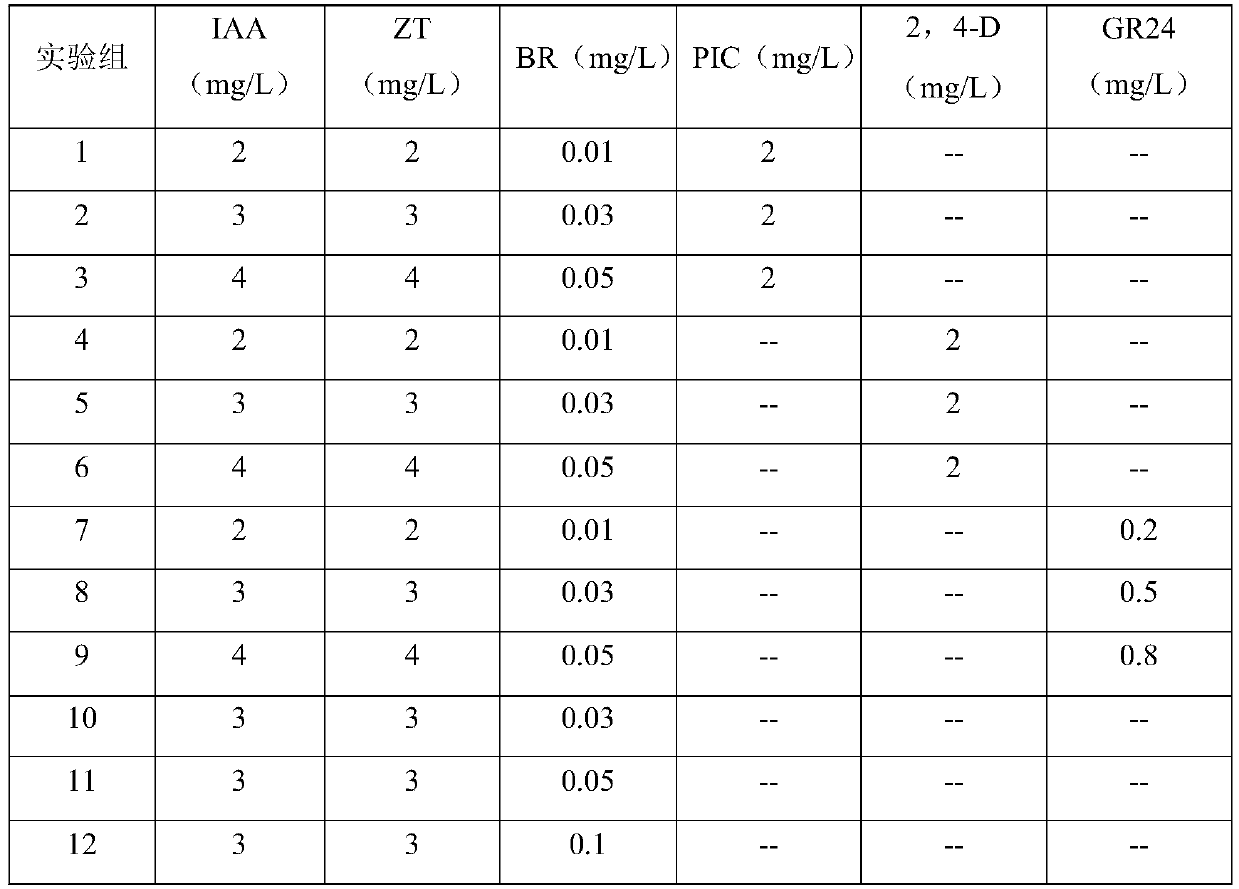 Method for producing podophyllotoxin by using callus adventitious roots of sinopodophyllum hexandrum royle