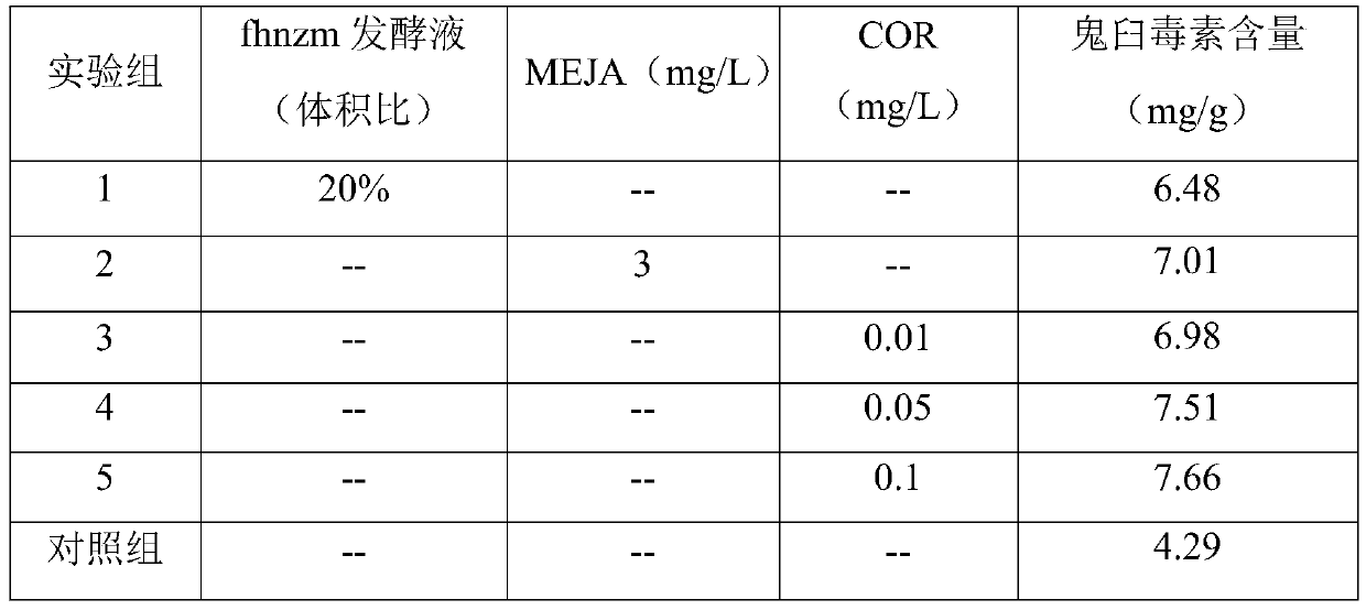 Method for producing podophyllotoxin by using callus adventitious roots of sinopodophyllum hexandrum royle