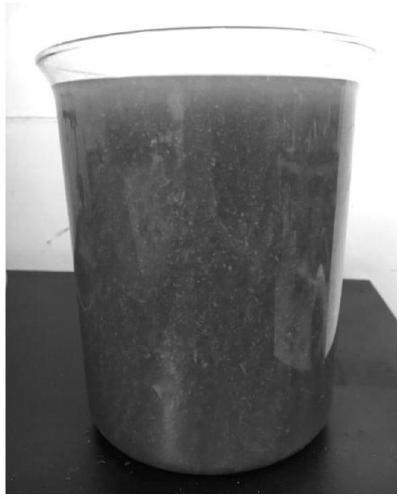 Preparation method of morchella liquid strains