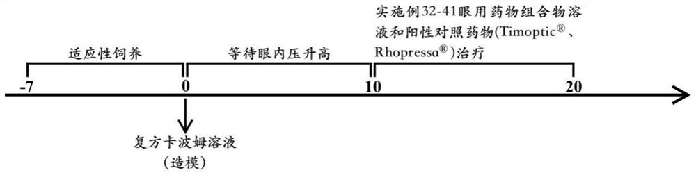 Compound medicine composition for treating glaucoma and application thereof