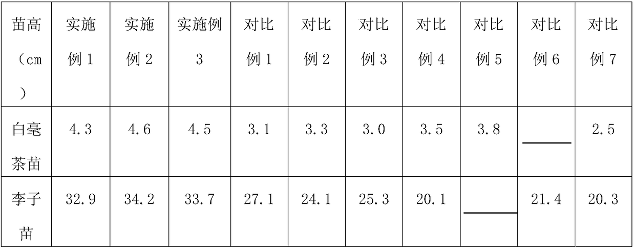 Interplanting method of Lingyun pekoe teaandprunussalicinalindl
