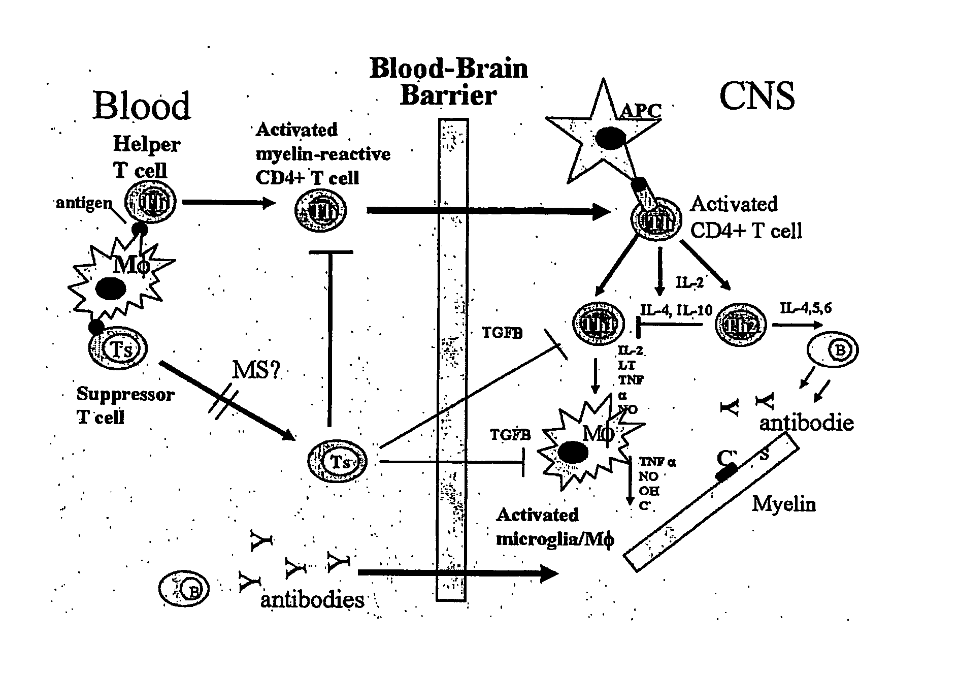 Methods and Compositions for the Prevention and Treatment of Inflammatory Diseases or Conditions