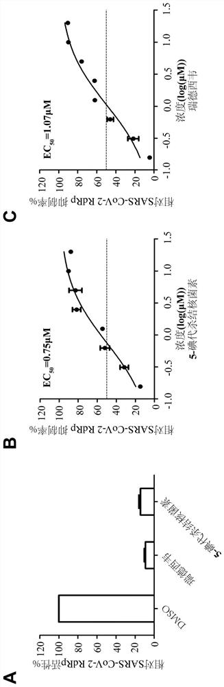 Application of adenosine kinase inhibitor in preparation of anti-coronavirus preparation