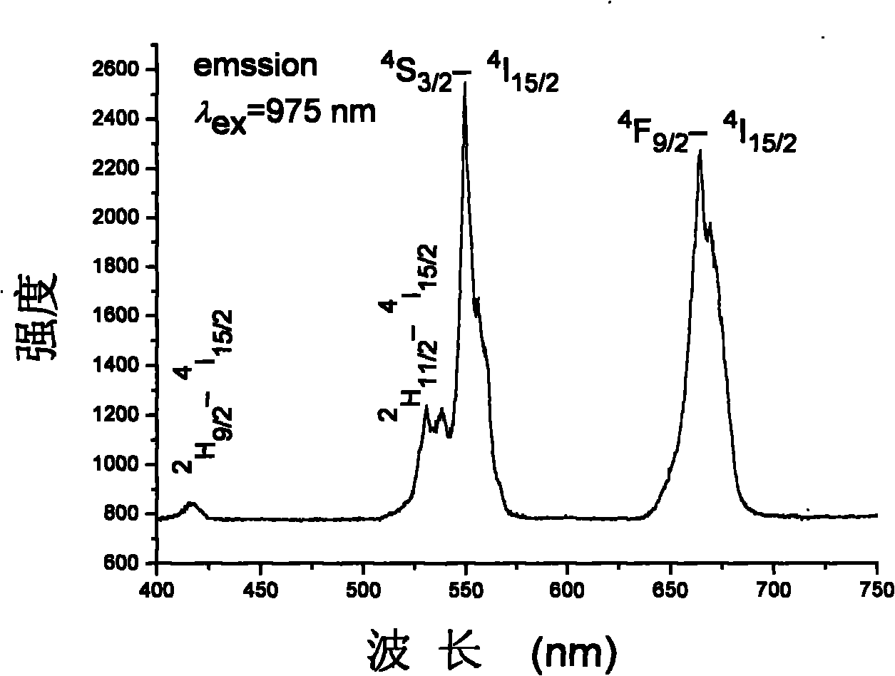 Method for synthesizing fluorescent nano particles of rare earth chlorides by microwave aqueous phase