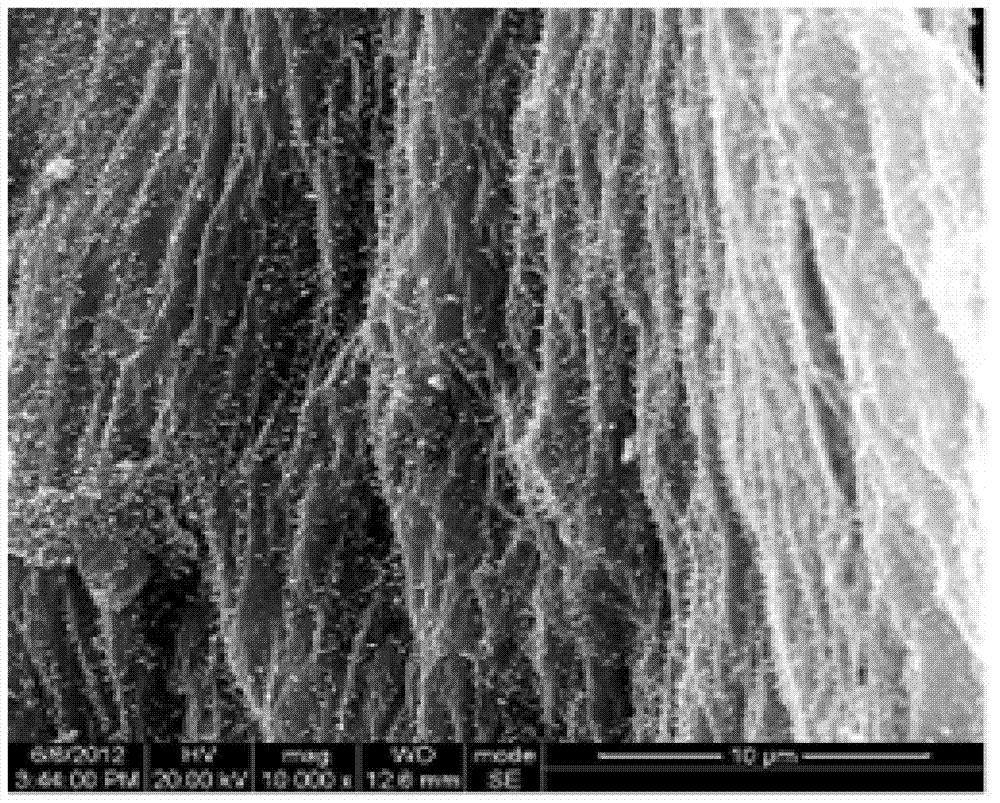 Catalyst for growing three-dimensional carbon nanotube/grapheme composite material and preparation method of catalyst