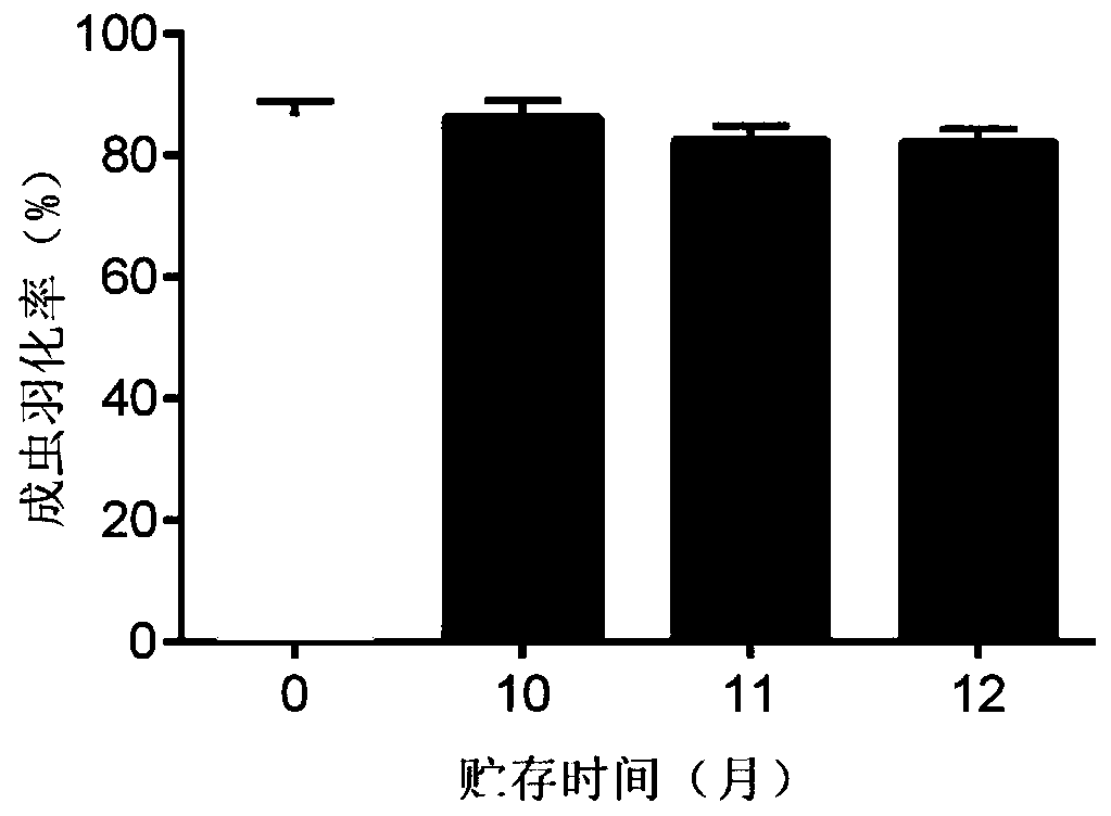 Chrysopa formosa packaging and storing methods