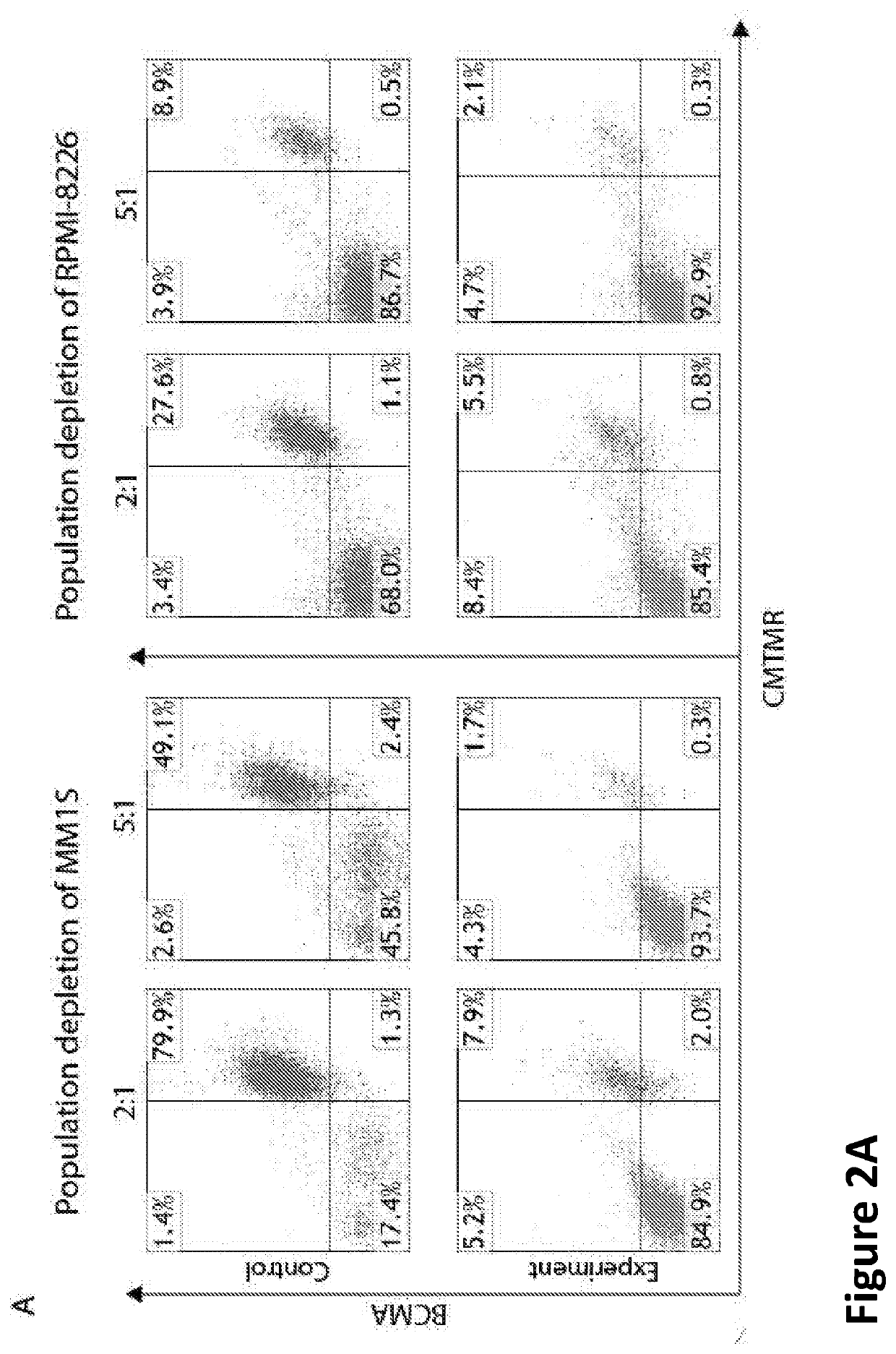 Compound Chimeric Antigen Receptor (CCAR) Targeting Multiple Antigents, Compositions and Methods of Use Thereof