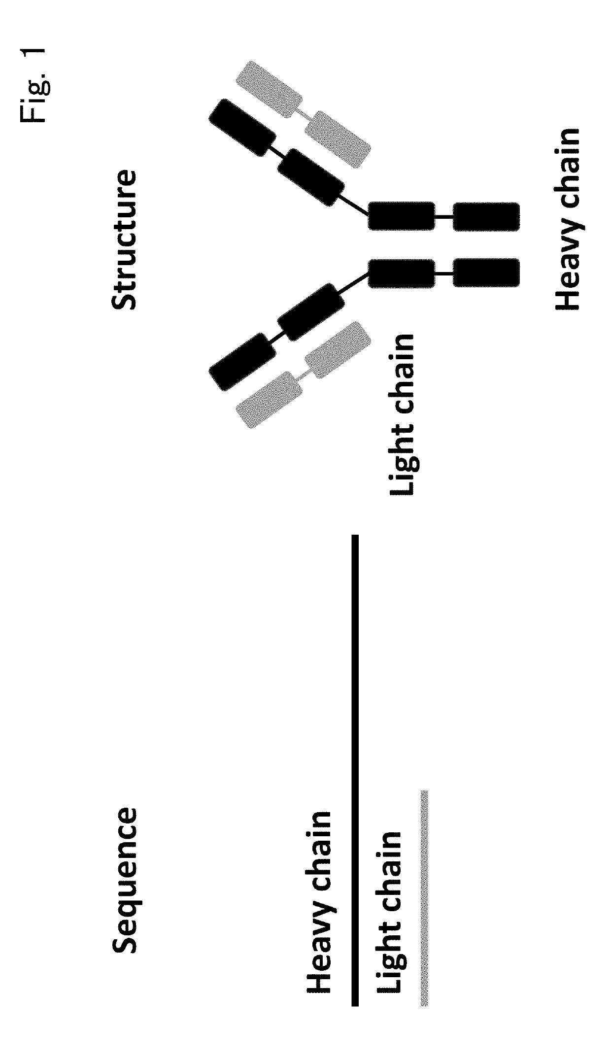 Immunological entity clustering software