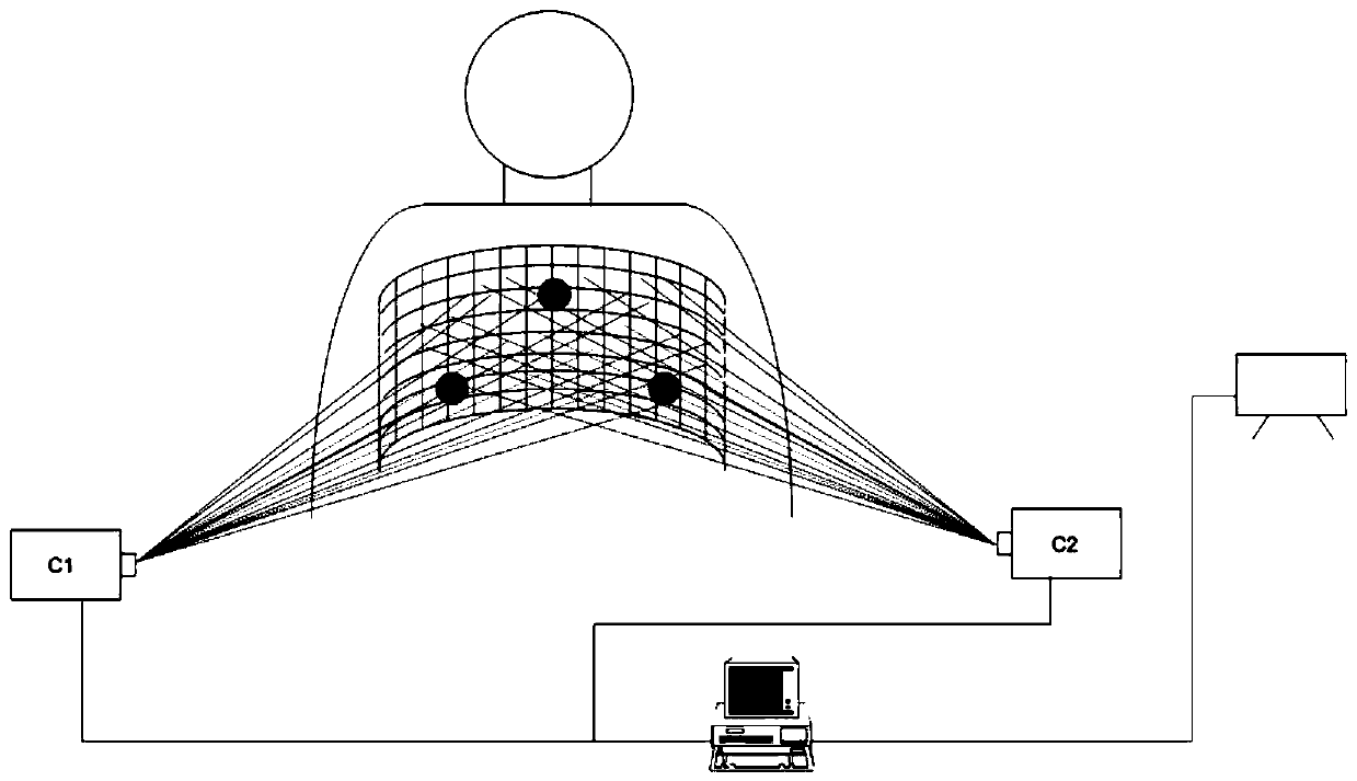 Surgical registration system using shape sensing optical fiber grids