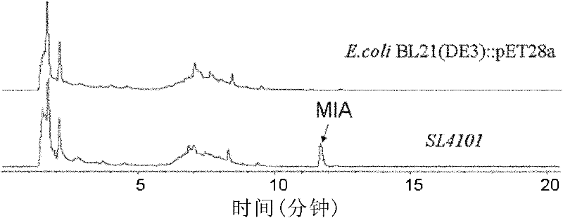 Novel fluoronosiheptide and preparation method and application thereof