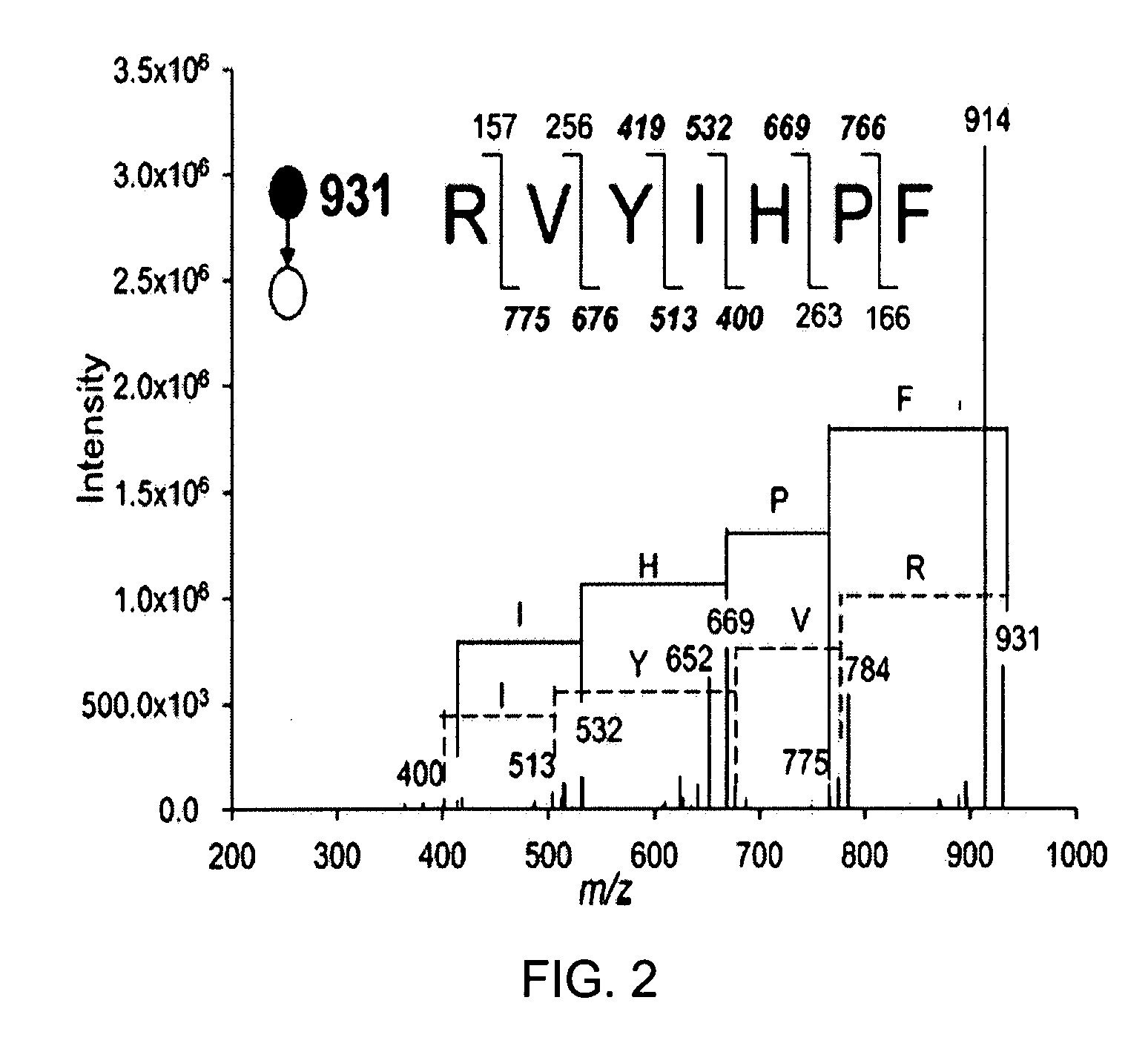 Method and Apparatus for Pyrolysis-Induced Cleavage in Peptides and Proteins