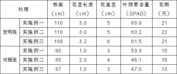 Method for culturing chrysanthemum morifolium by using reproducible substrates