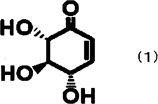 Process for producing polyhydric phenol