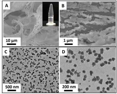 A kind of injectable natural triterpenoid antibacterial hydrogel and preparation method thereof