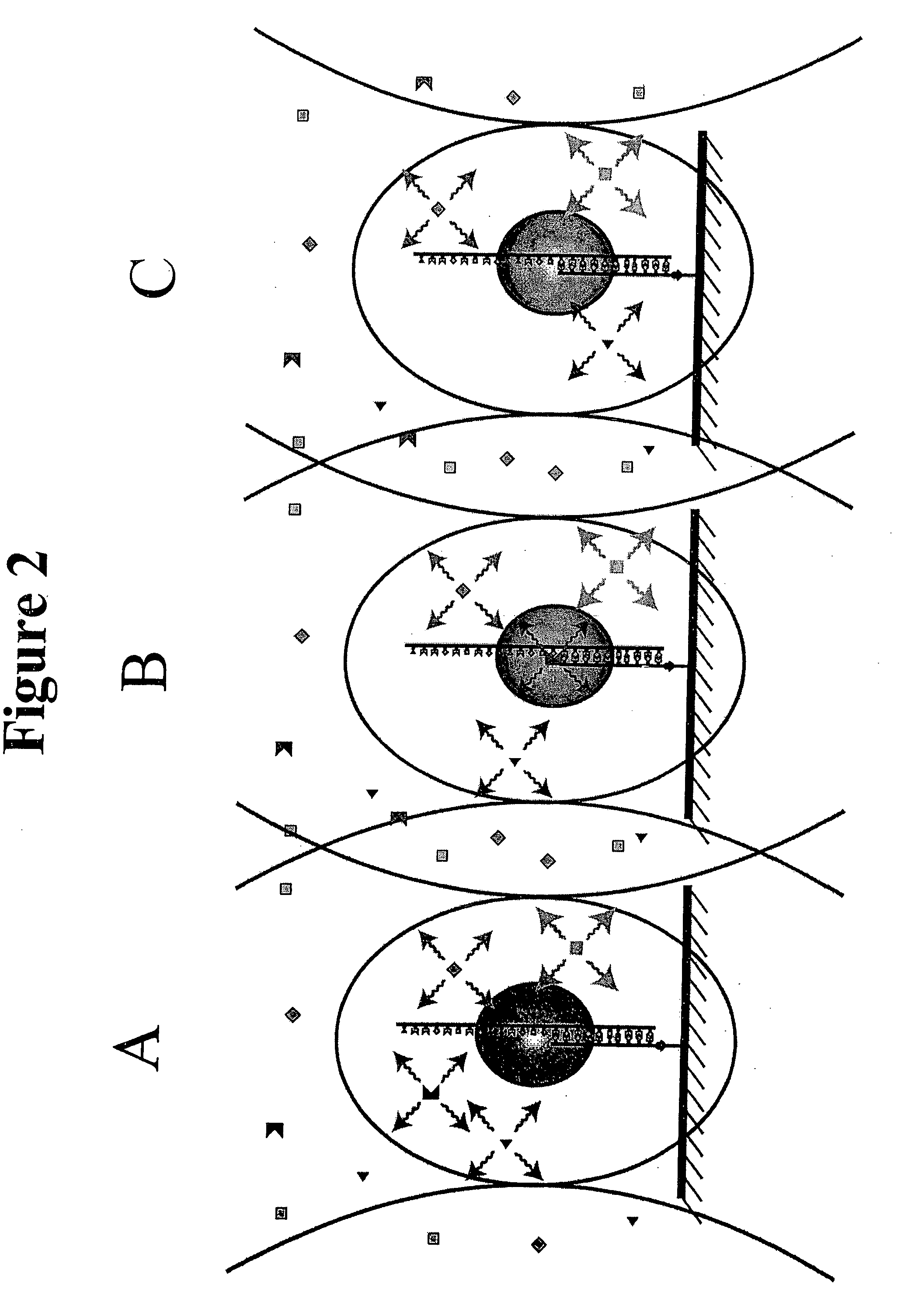Method for sequencing nucleic acid molecules