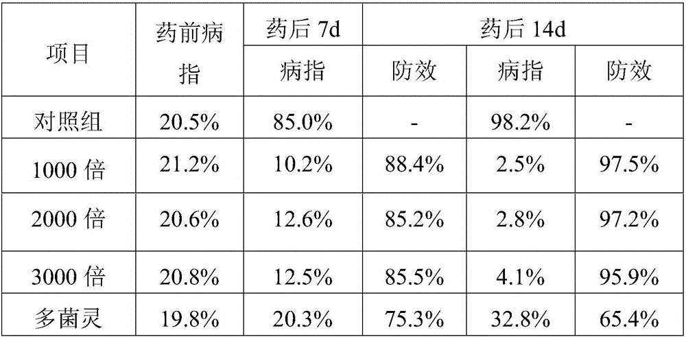 Bacillus amyloliquefaciens resistant to powdery mildew of melon crops and high in spore yield