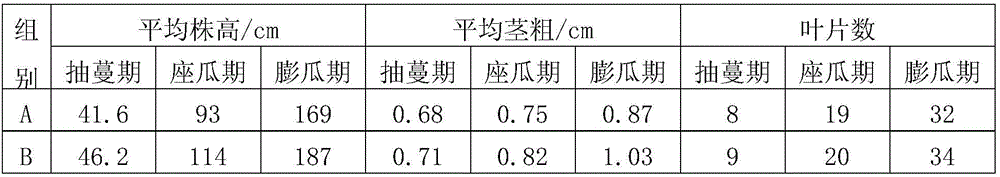 Bacillus amyloliquefaciens resistant to powdery mildew of melon crops and high in spore yield