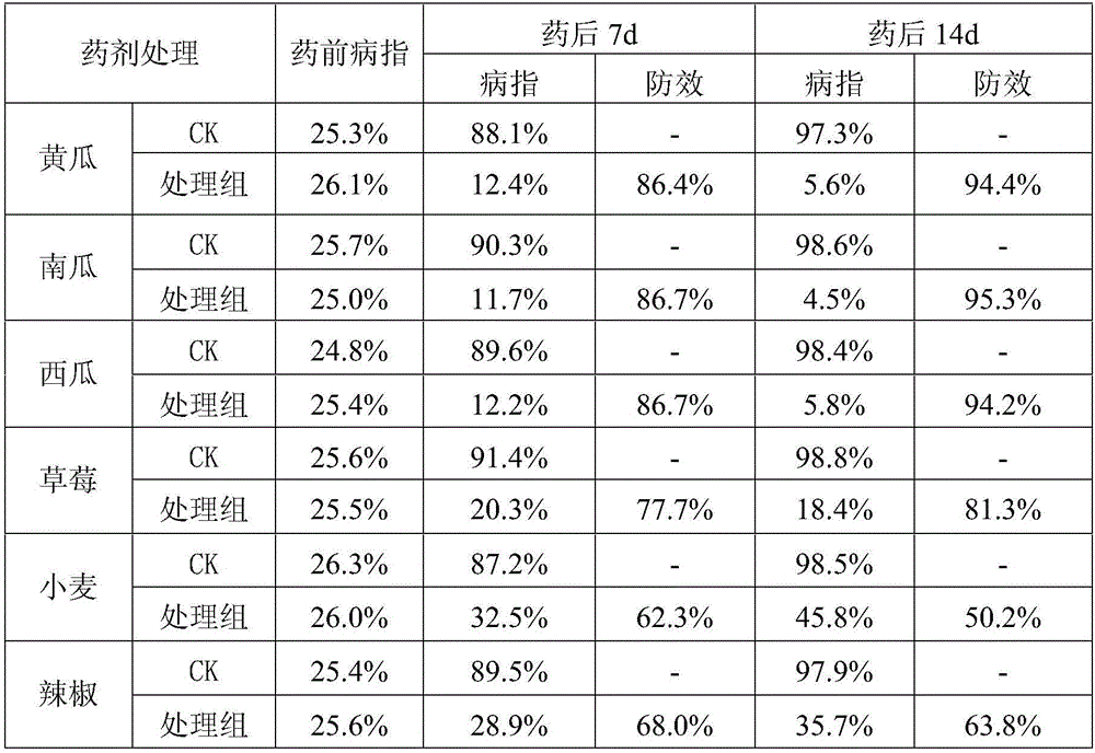 Bacillus amyloliquefaciens resistant to powdery mildew of melon crops and high in spore yield