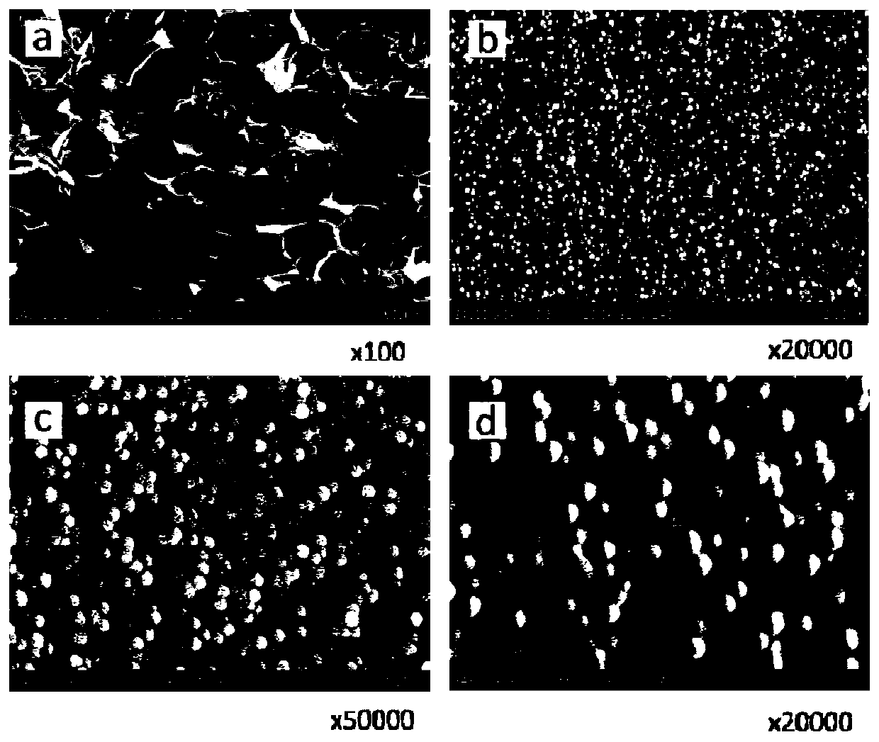 Spherical nano hydroxyapatite/natural polymer biomimetic scaffold and preparation method thereof