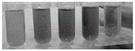 Enzyme type time temperature indicator system