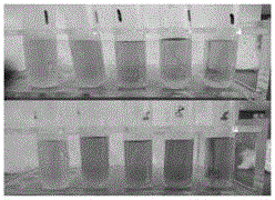 Enzyme type time temperature indicator system