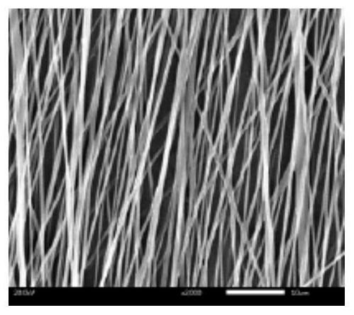 Preparation method of oriented nanofiber nerve conduit
