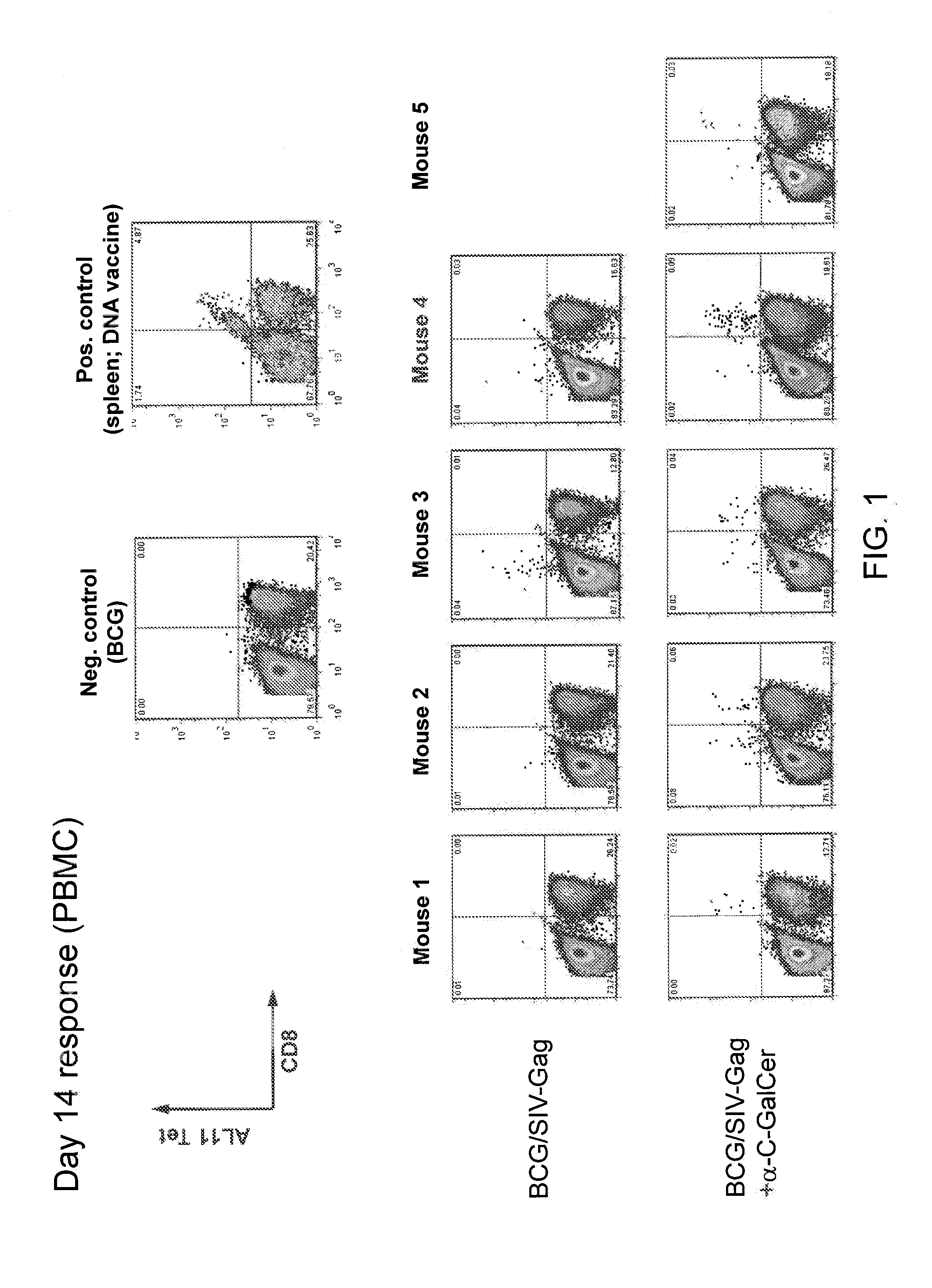 Ceramide-like glycolipid-associated bacterial vaccines and uses thereof