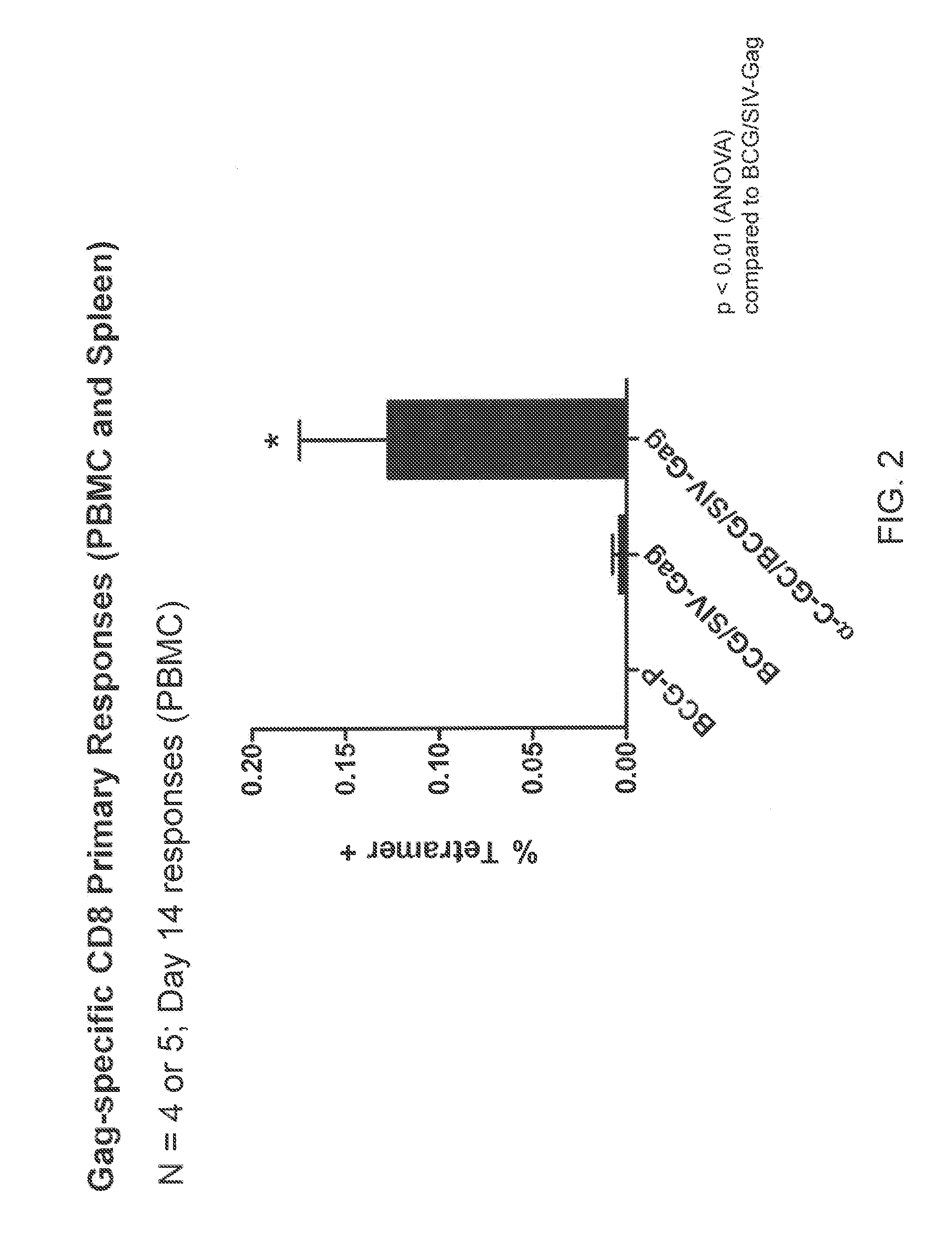 Ceramide-like glycolipid-associated bacterial vaccines and uses thereof
