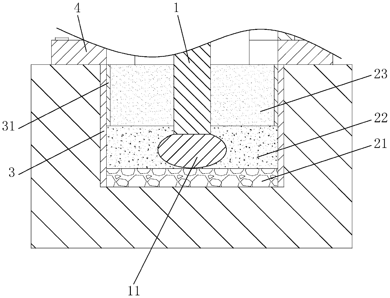 Greening tree transplanting structure and transplanting method