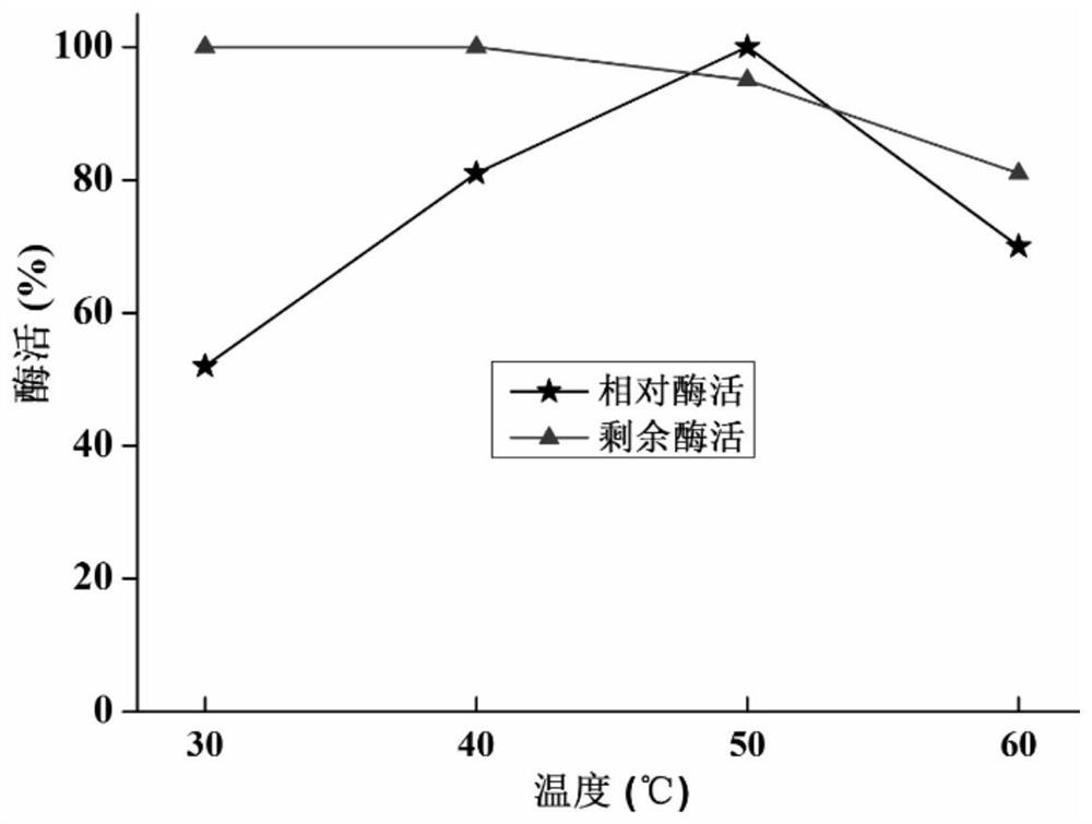 Chitosanase gene, chitosanase as well as preparation method and application of chitosanase