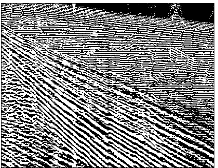 Method employing surface wave information in seismic records to investigate surface structure