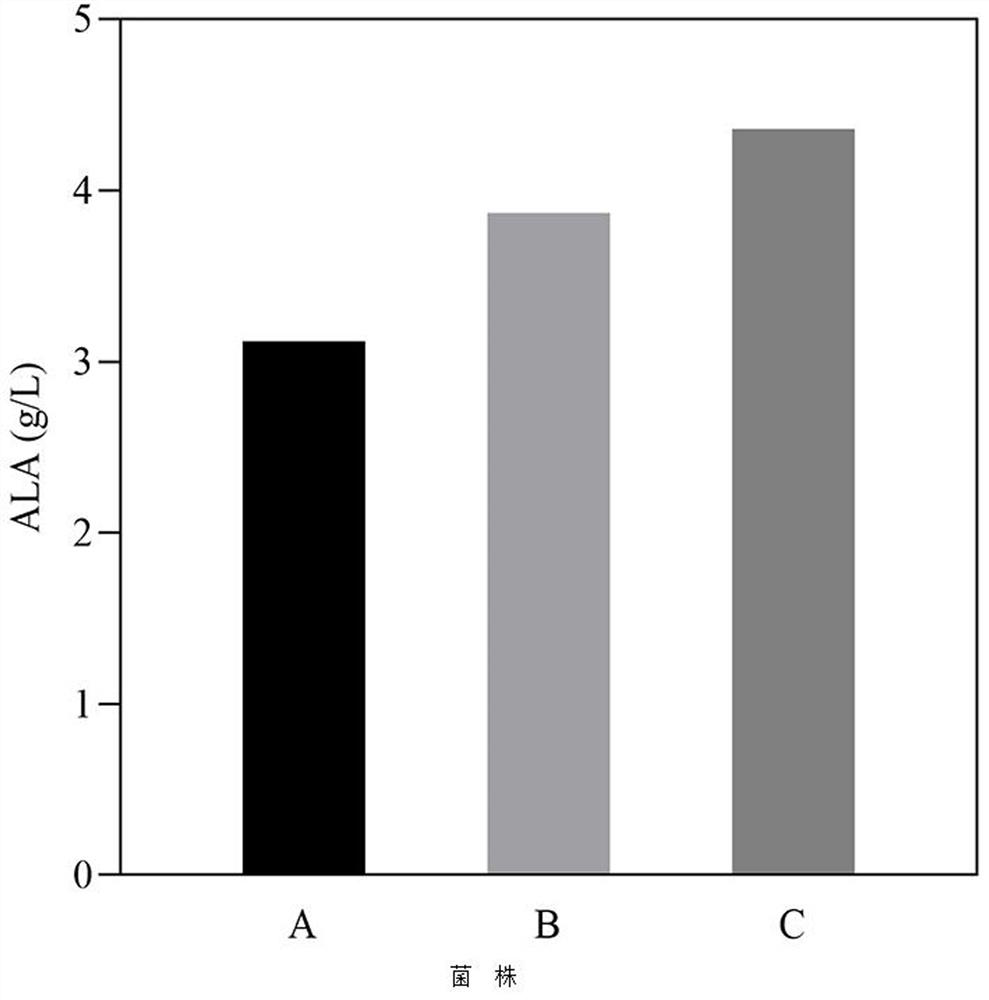 A method for increasing the expression level of 5-aminolevulinic acid