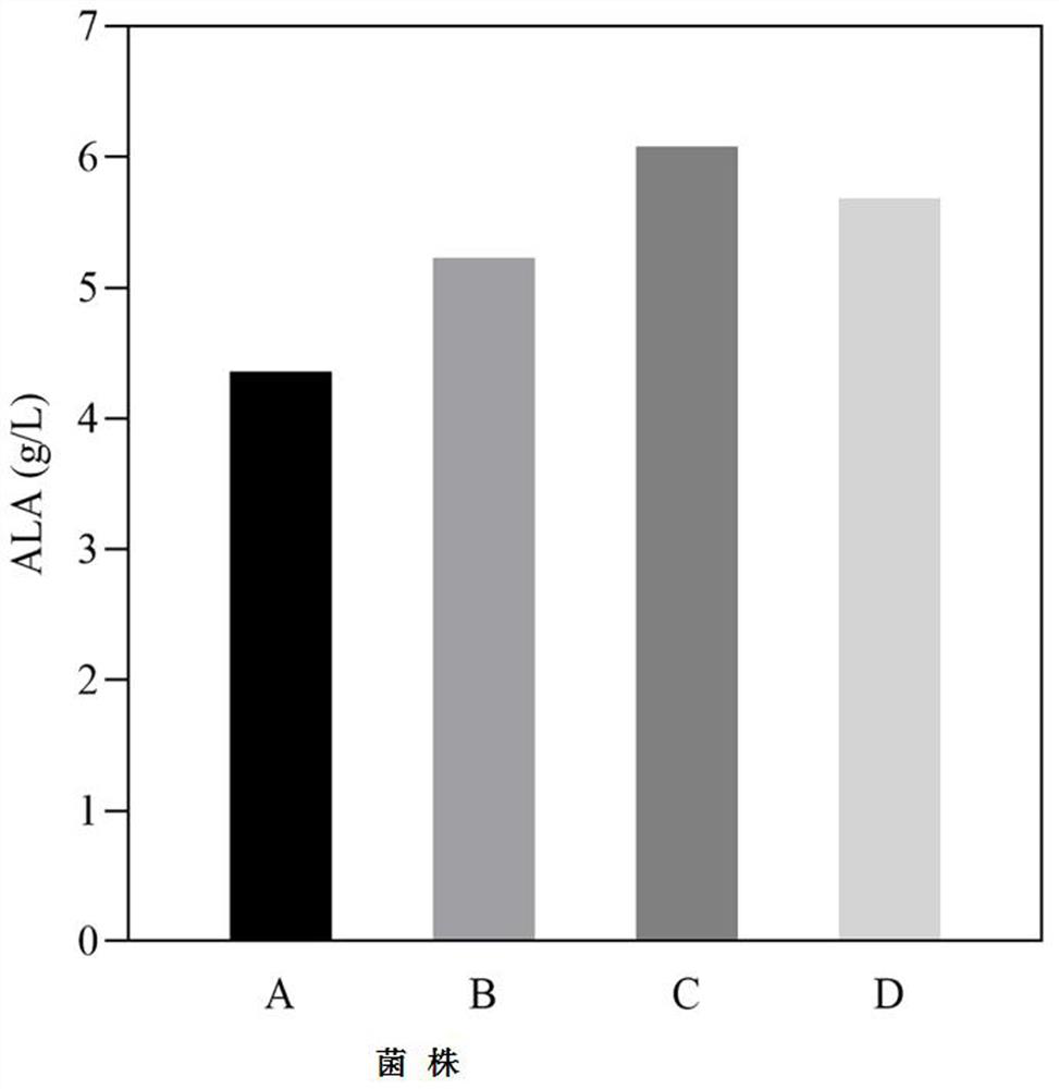 A method for increasing the expression level of 5-aminolevulinic acid