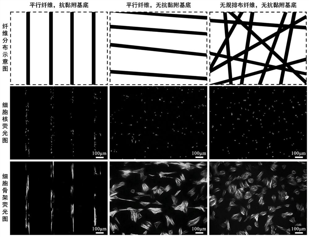 Single-layer parallel fiber pattern with cell adhesion contrast characteristic and preparation method thereof