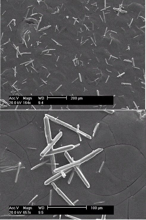 Preparation method of alpha-calcium sulfate hemihydrate crystal whisker by one-step autocatalysis and application thereof