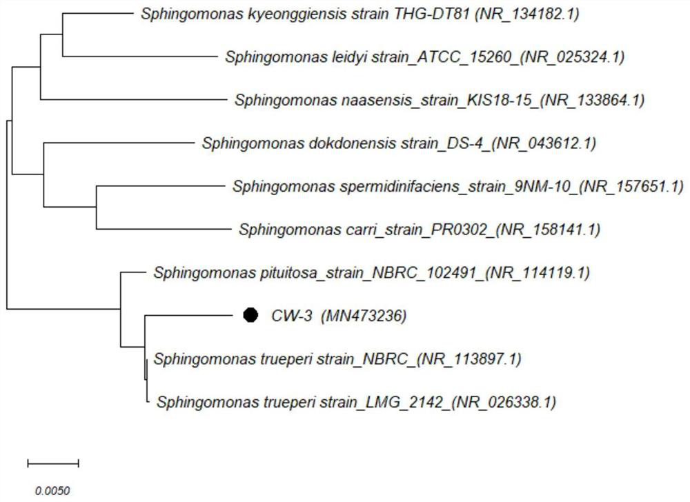 A kind of pyrethroid insecticide residue degradation bacterial strain and its application