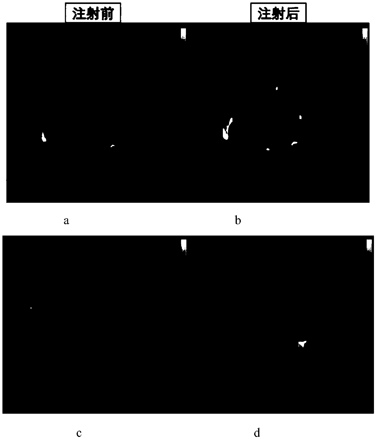 Use of fat emulsion as photoacoustic imaging contrast agent
