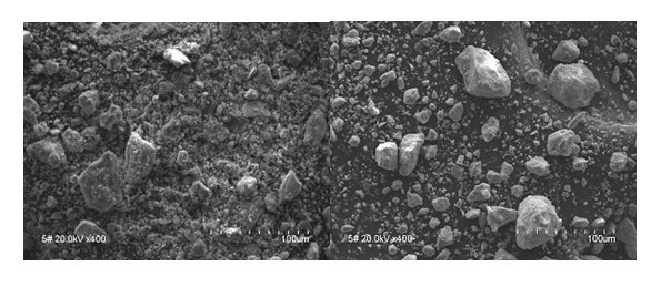 Identification method for distinguishing iron ore from oxide scale
