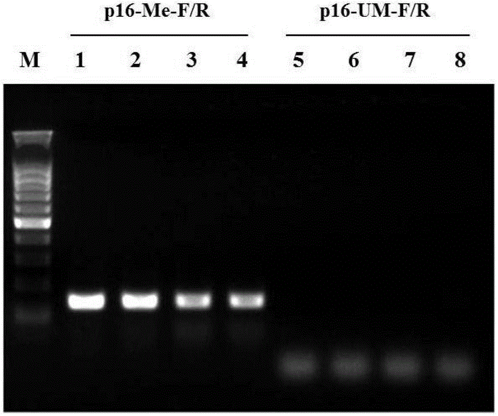 Method for purifying deoxyribonucleic acid (DNA) in DNA bisulfate conversion process
