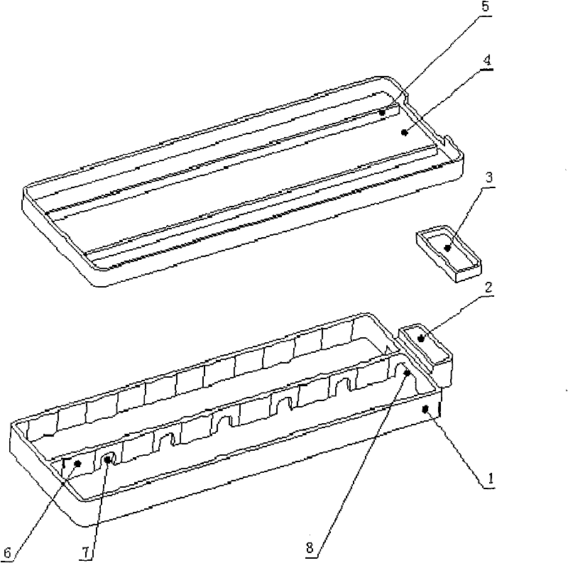 Culture box for producing tissue engineering skin