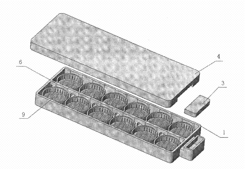 Culture box for producing tissue engineering skin