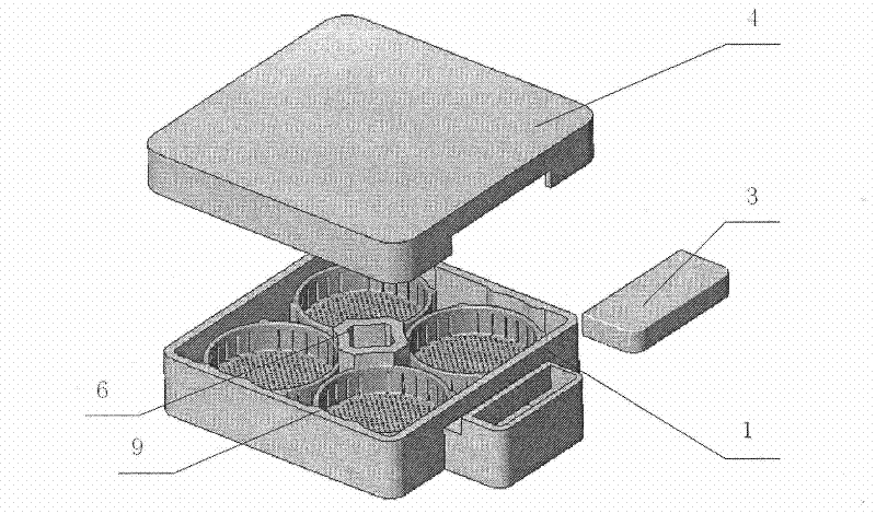 Culture box for producing tissue engineering skin