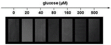 Ratio fluorescence sensor and visualized detection method for glucose