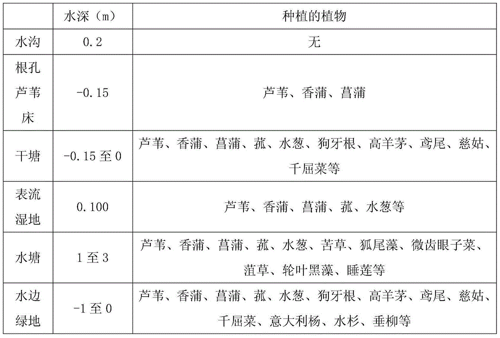 River water circulation and water purification combined system and purification method thereof