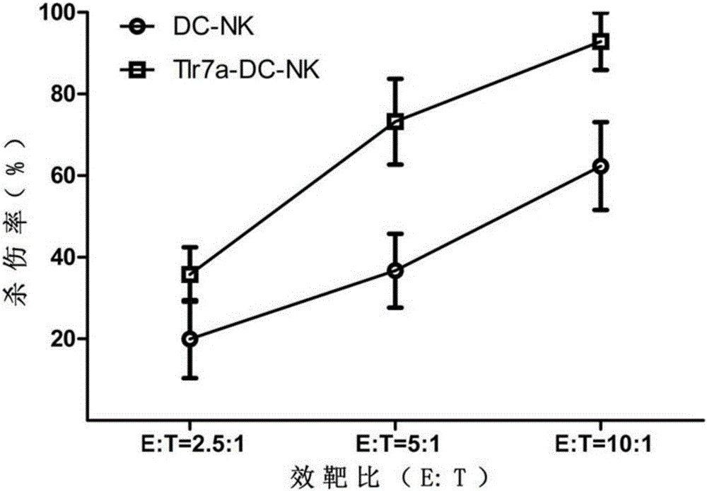Preparation method of Tlr7a-induced enhanced DC-NK cells