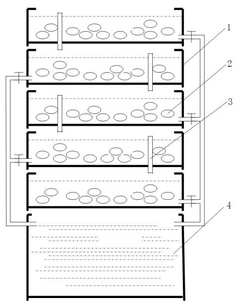 Method for curing salted eggs