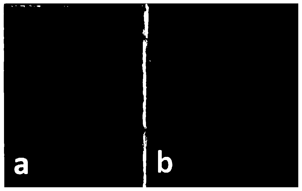 Preparation method for vanadium dioxide films